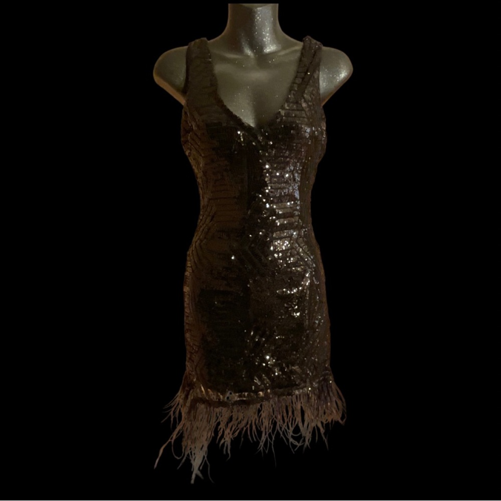 Black Sequin Feather Trim Dress